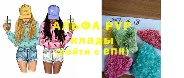 шишки Надым
