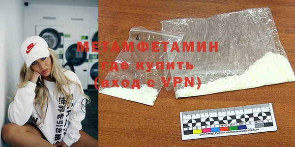 шишки Надым