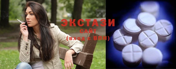 шишки Надым
