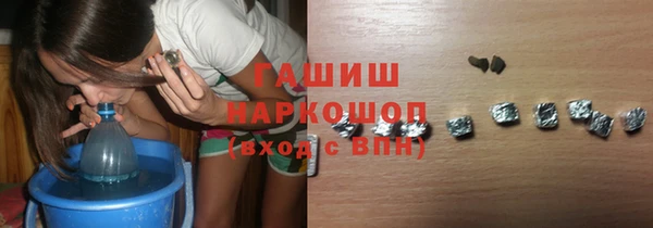 шишки Надым