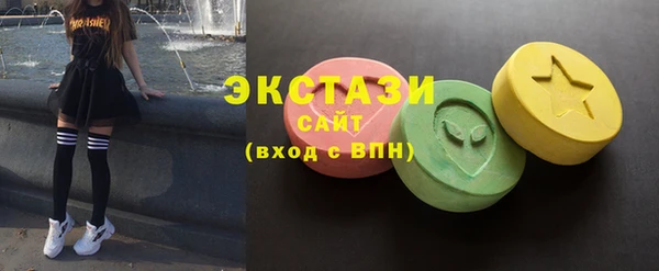 шишки Надым