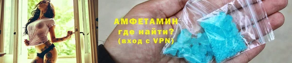 шишки Надым