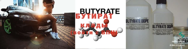 шишки Надым