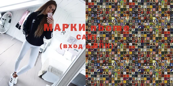прущие грибы Беслан