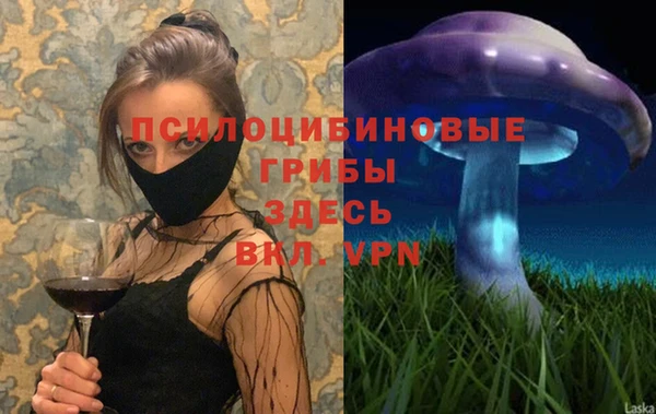 ПСИЛОЦИБИНОВЫЕ ГРИБЫ Навашино