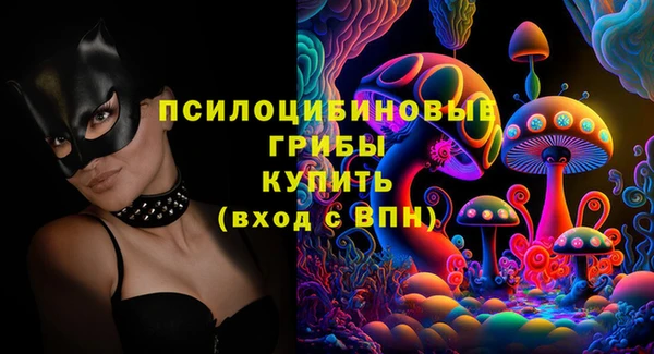 ПСИЛОЦИБИНОВЫЕ ГРИБЫ Навашино