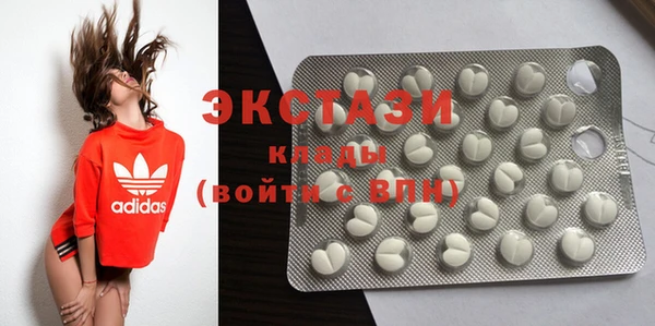 шишки Надым