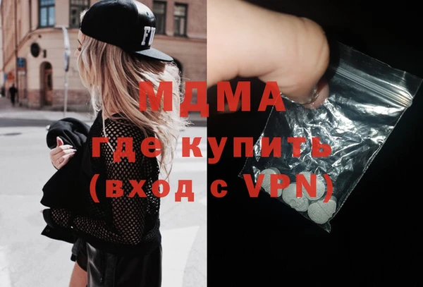 шишки Надым