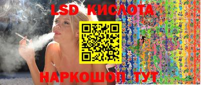 Альфа ПВП Кандалакша