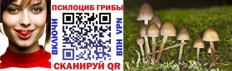 Псилоцибиновые грибы MAGIC MUSHROOMS  Унеча 