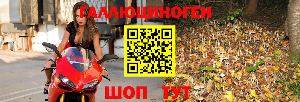 Унеча  Галлюциногенные грибы GOLDEN TEACHER  Вход с VPN 